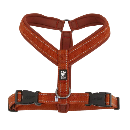 Casual Y-Harness