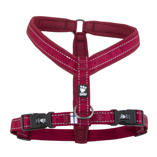 Casual Y-Harness