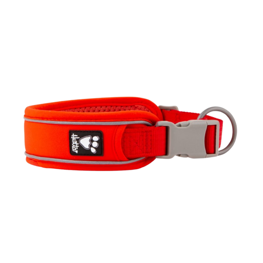 Weekend Warrior ECO Collar