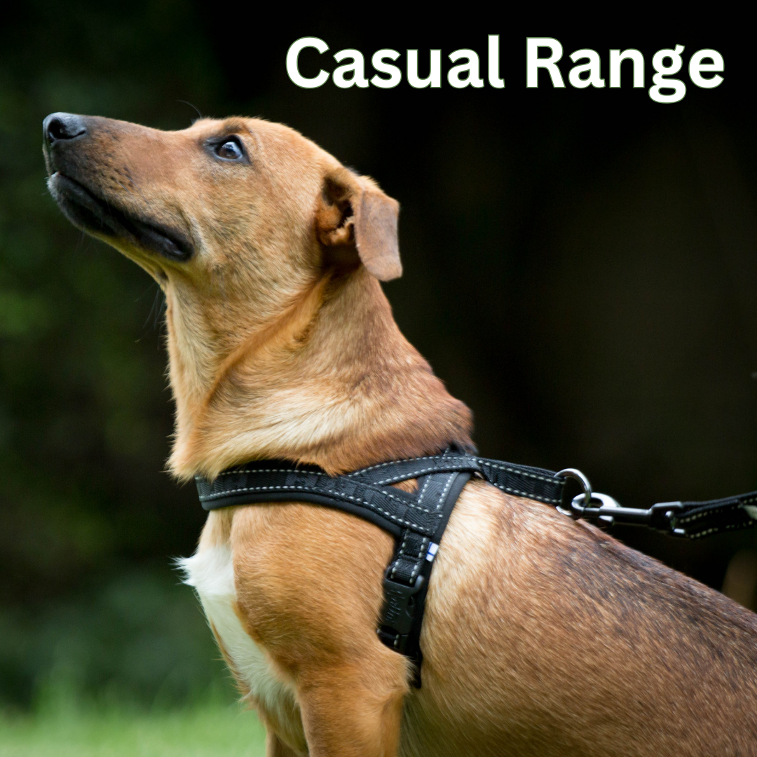 Casual Range Black Friday
