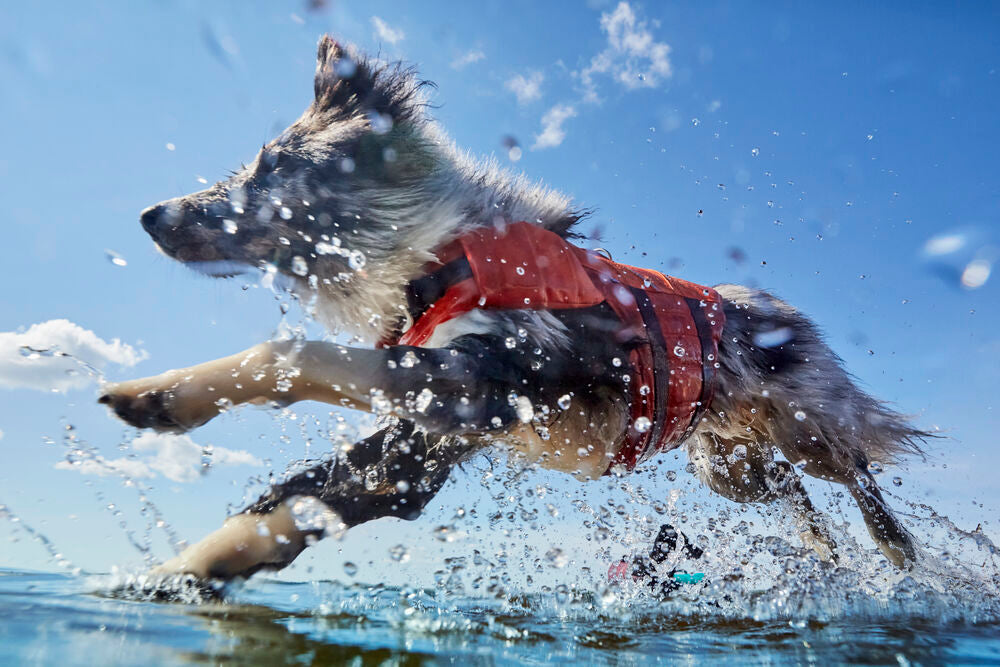 Hurtta Life Savior ECO Life Vest - Honey