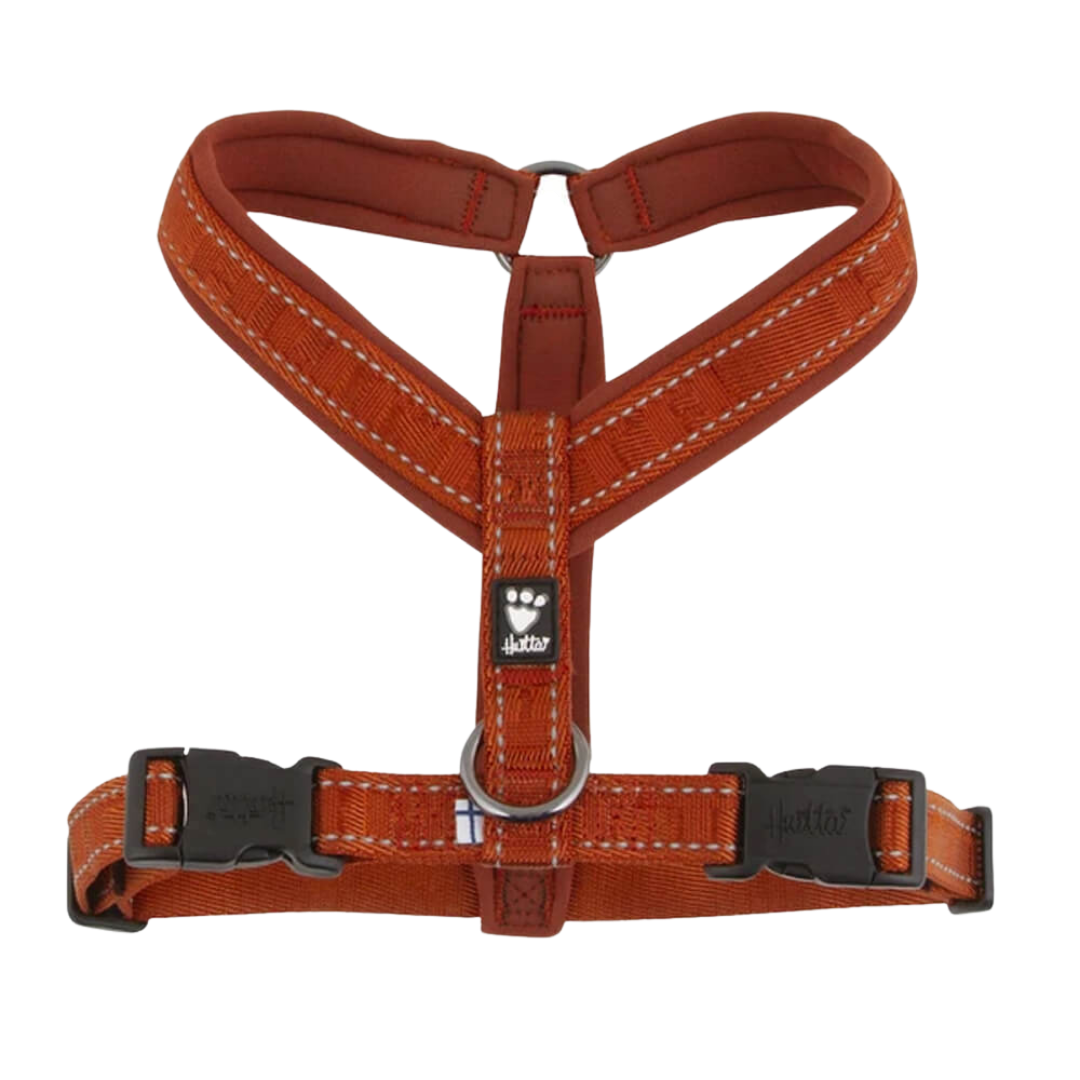 Casual Y-Harness
