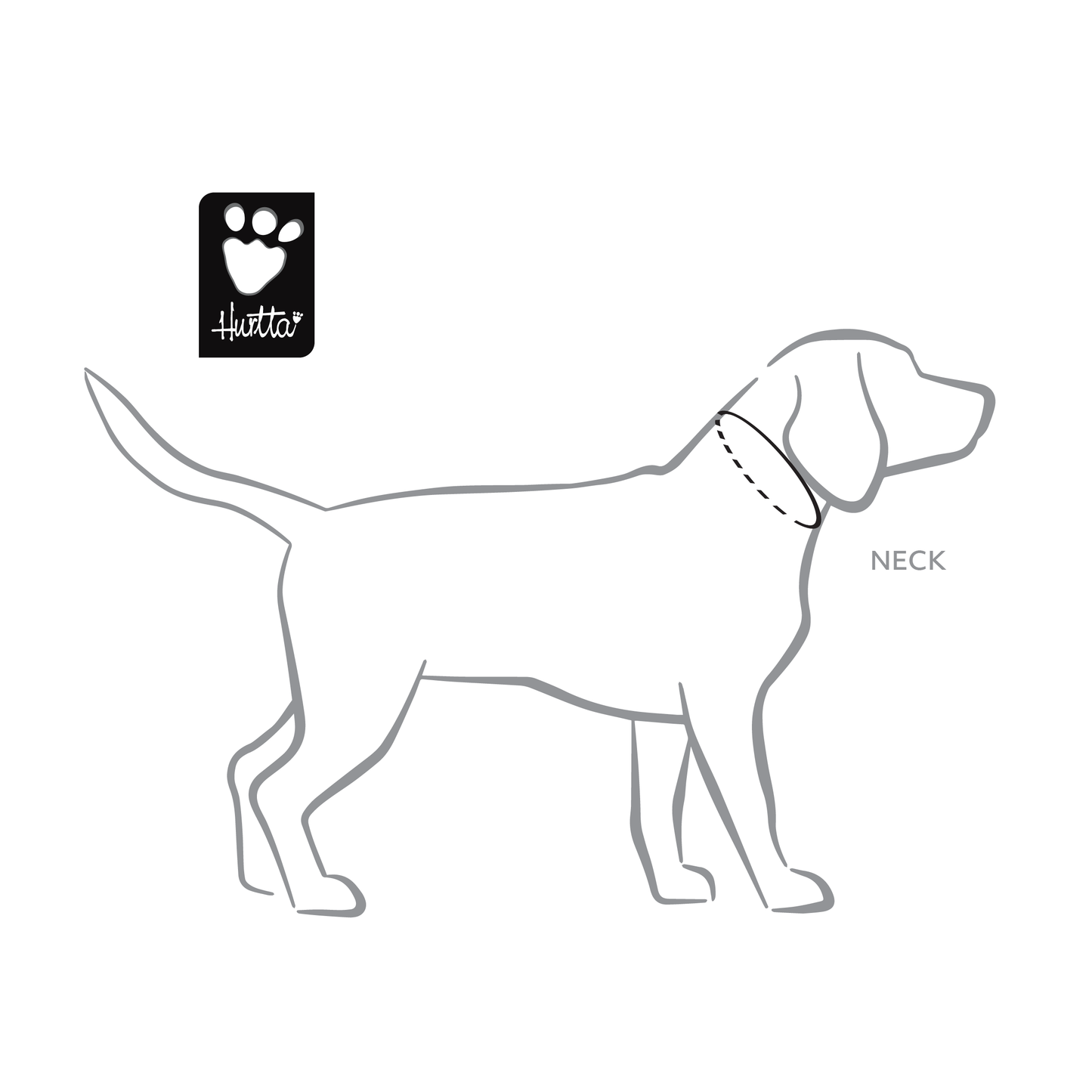 Padded Collar