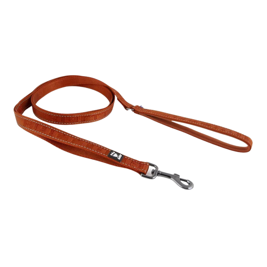 Casual Reflective Leash