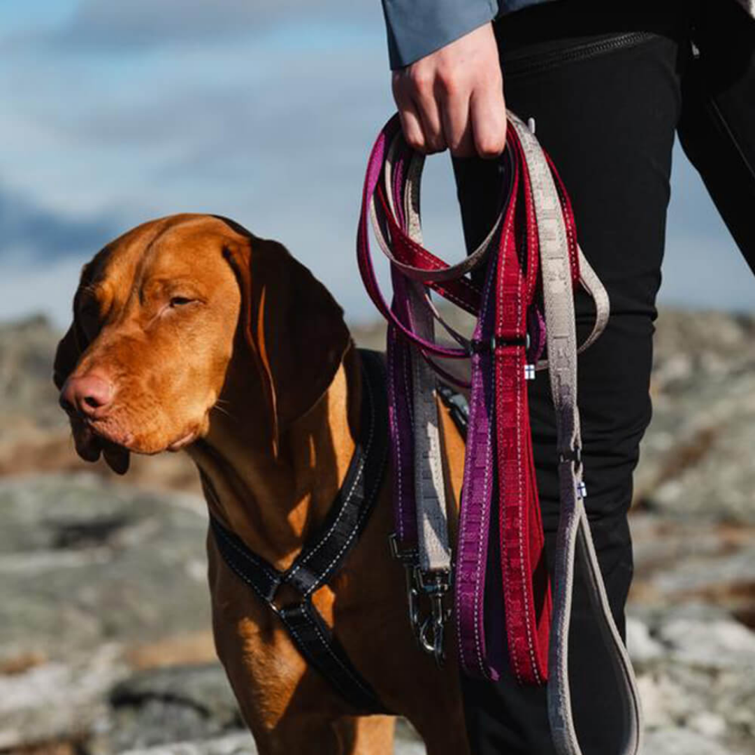 Casual Reflective Leash