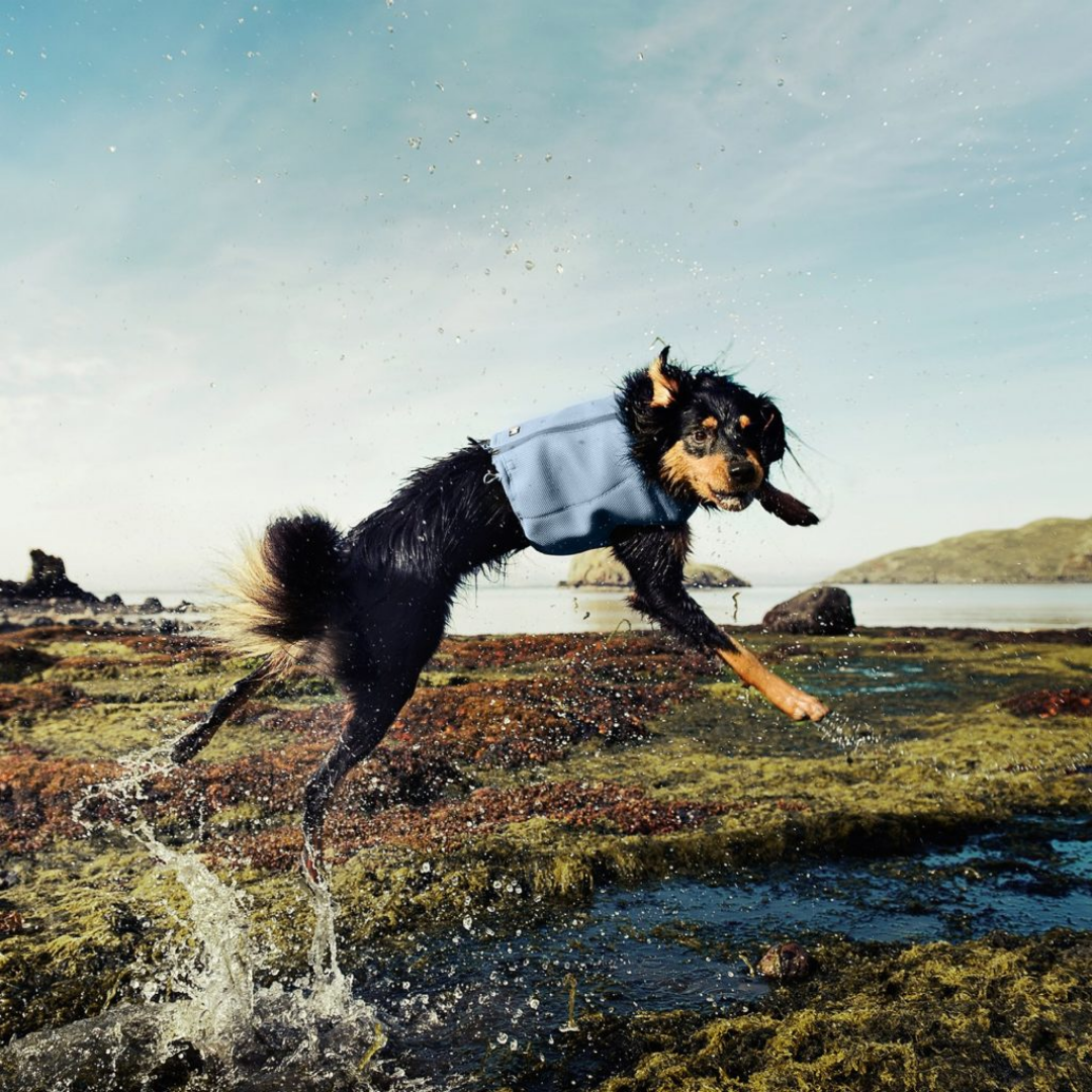 Hurtta Cooling Vest