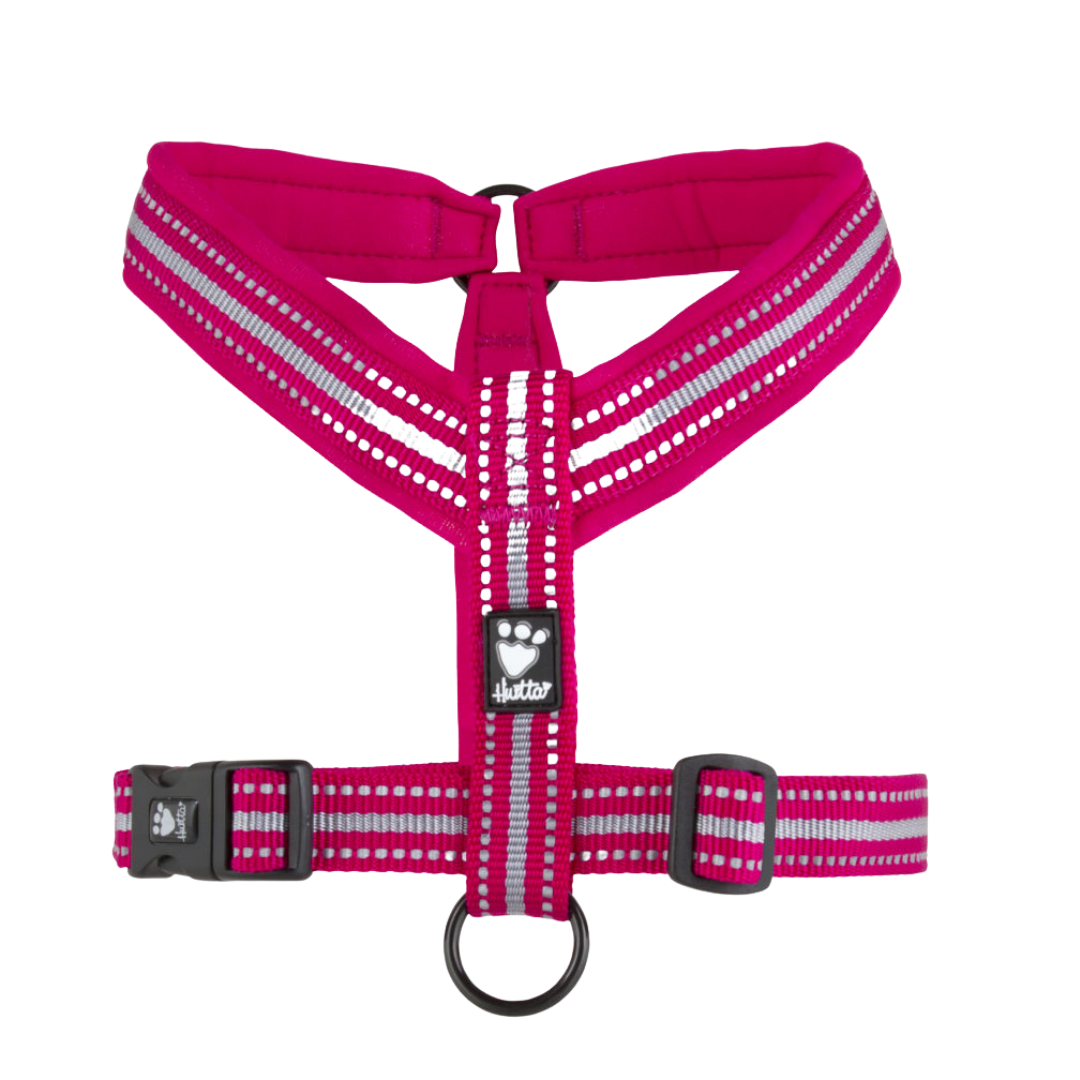 Padded Y-Harness