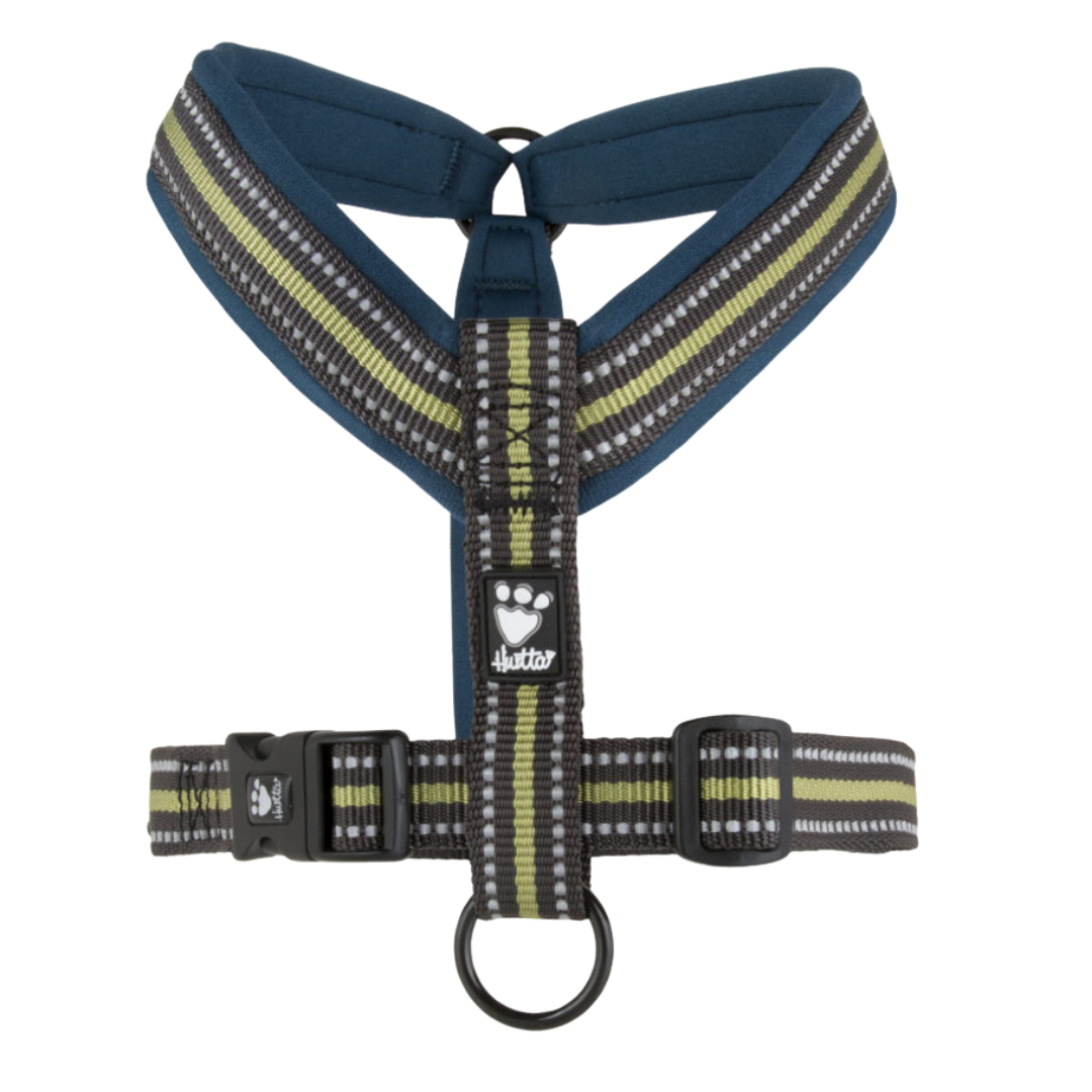 Padded Y-Harness