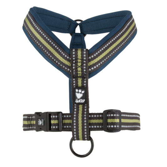 Padded Y-Harness