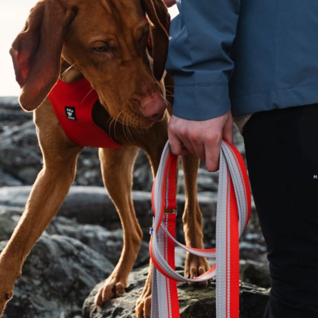 Weekend Warrior ECO Leash