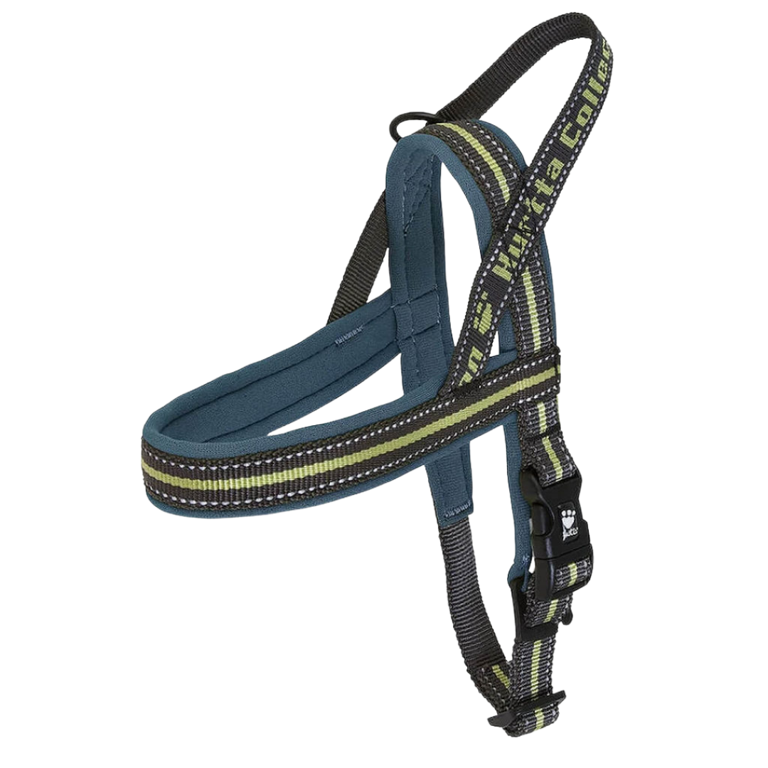 Padded Harness