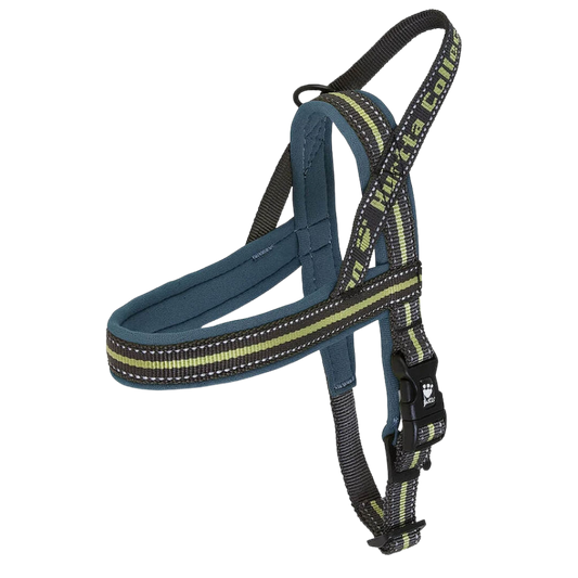 Padded Harness