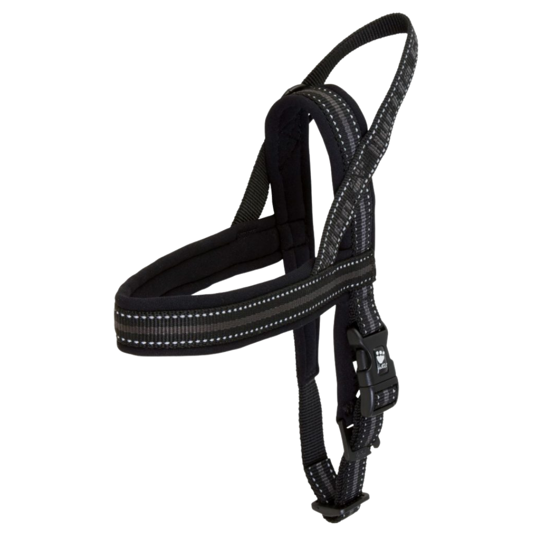 Padded Harness