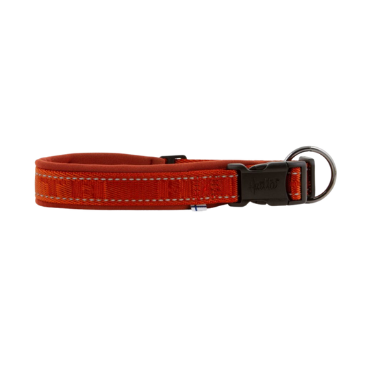 Casual Collar