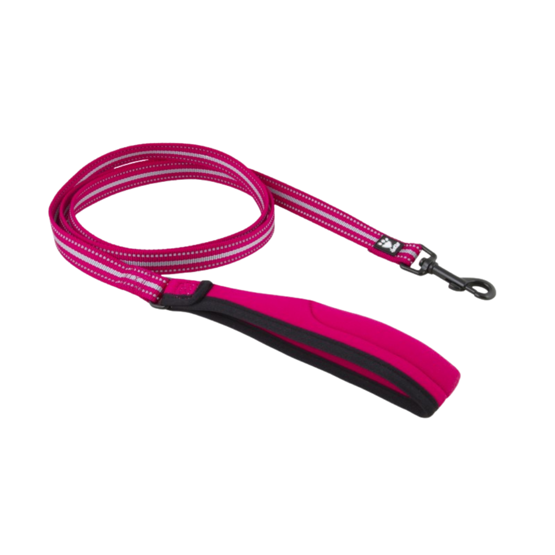 Reflective Leash
