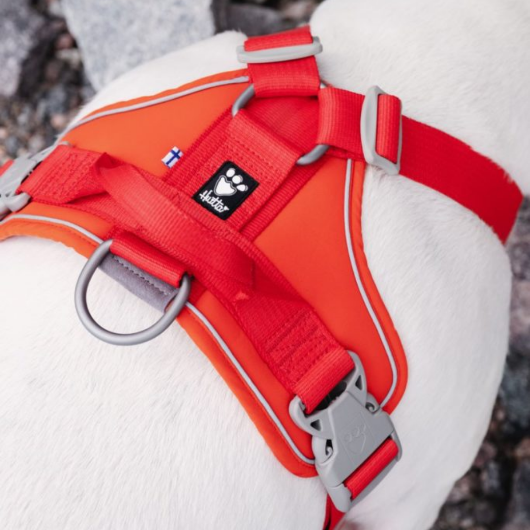 Weekend Warrior ECO Harness